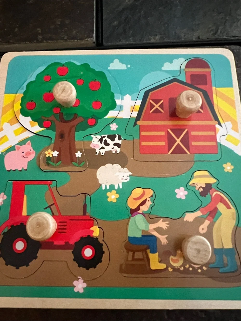 Wooden Farm, Fruit, Dinosaur & Ocean Knob Puzzles-Toddlers First Puzzle Set, EUC